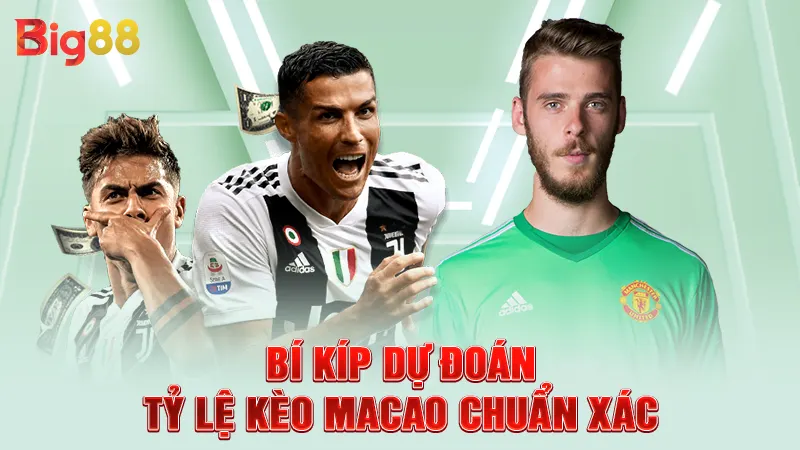 Tỷ Lệ Kèo Macao - Thể Loại Cá Cược Hấp Dẫn Nhất Năm 2025 3 Bí kíp dự đoán tỷ lệ kèo Macao chuẩn xác