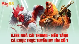 BJ88 Nhà Cái Thomo - Nền Tảng Cá Cược Trực Tuyến Uy Tín Số 1
