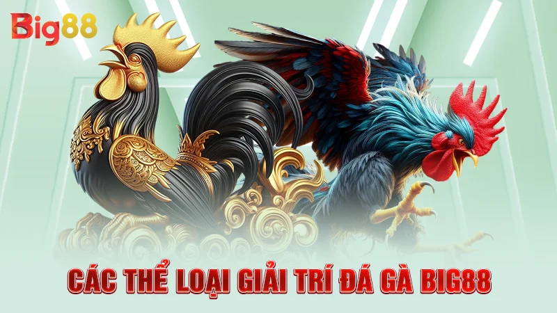 Các thể loại giải trí đá gà Big88