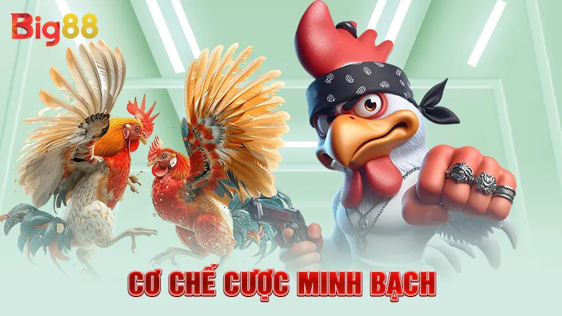 Cơ chế cược minh bạch