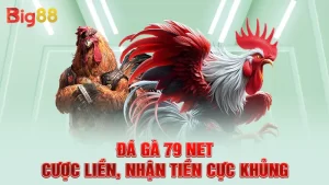 Đá Gà 79 Net - Cược Liền, Nhận Tiền Cực Khủng