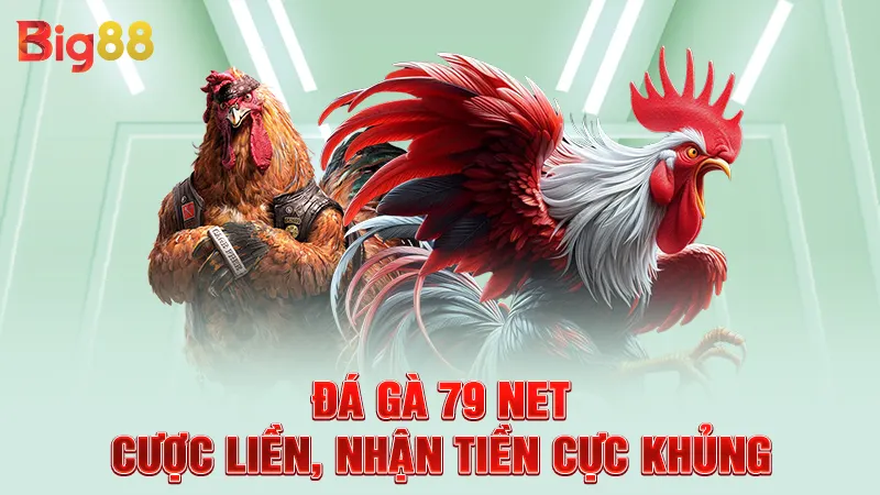 Đá Gà 79 Net - Cược Liền, Nhận Tiền Cực Khủng 5 Đá Gà 79 Net - Cược Liền, Nhận Tiền Cực Khủng