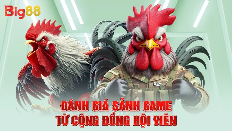 Đánh giá sảnh game từ cộng đồng hội viên