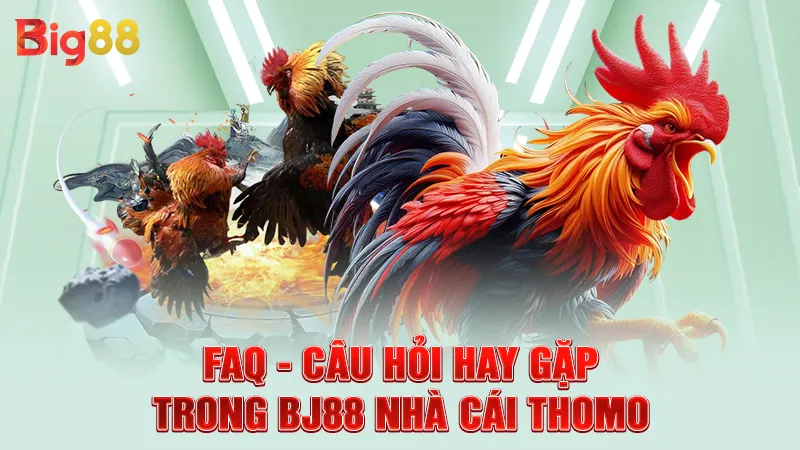 FAQ - Câu hỏi hay gặp trong BJ88 nhà cái Thomo