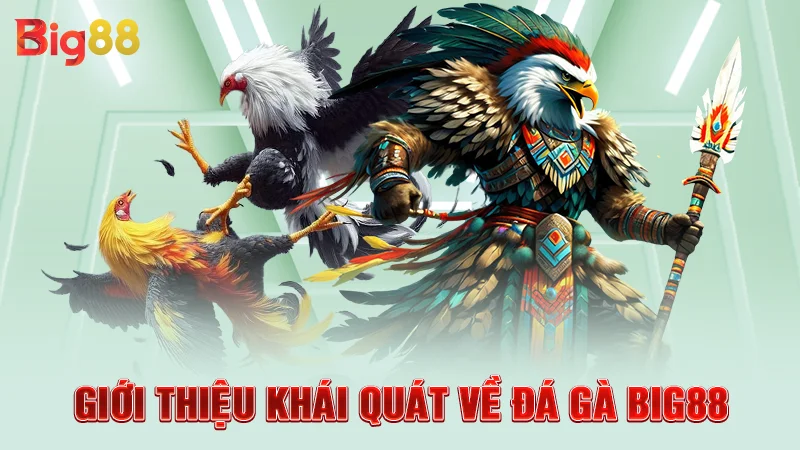 Giới thiệu khái quát về đá gà Big88