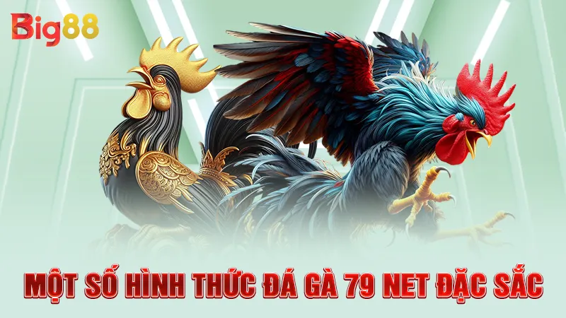Một số hình thức đá gà 79 net đặc sắc