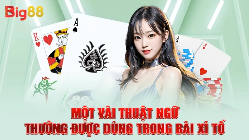 Một vài thuật ngữ thường được dùng trong bài xì tố