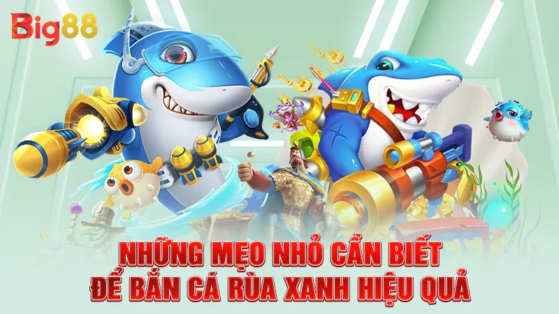 Bắn Cá Rùa Xanh - Bí Kíp Chinh Phục Đại Dương Xanh Tại SIN88 3 Những mẹo nhỏ cần biết để bắn cá rùa xanh hiệu quả