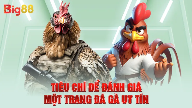 Tiêu chí để đánh giá một trang đá gà uy tín