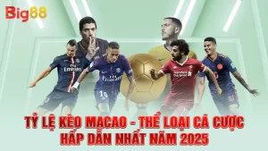 Tỷ Lệ Kèo Macao - Thể Loại Cá Cược Hấp Dẫn Nhất Năm 2025